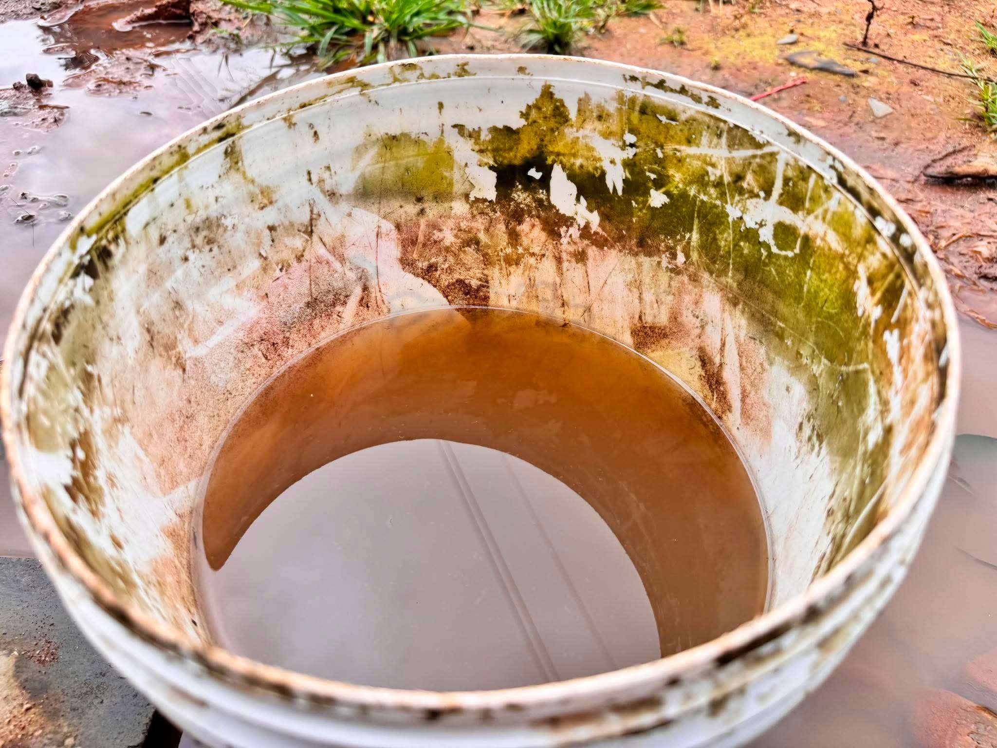 The rainwater collected during the rainy season is often cloudy and contaminated with sediment, making it unsafe for drinking without proper treatment