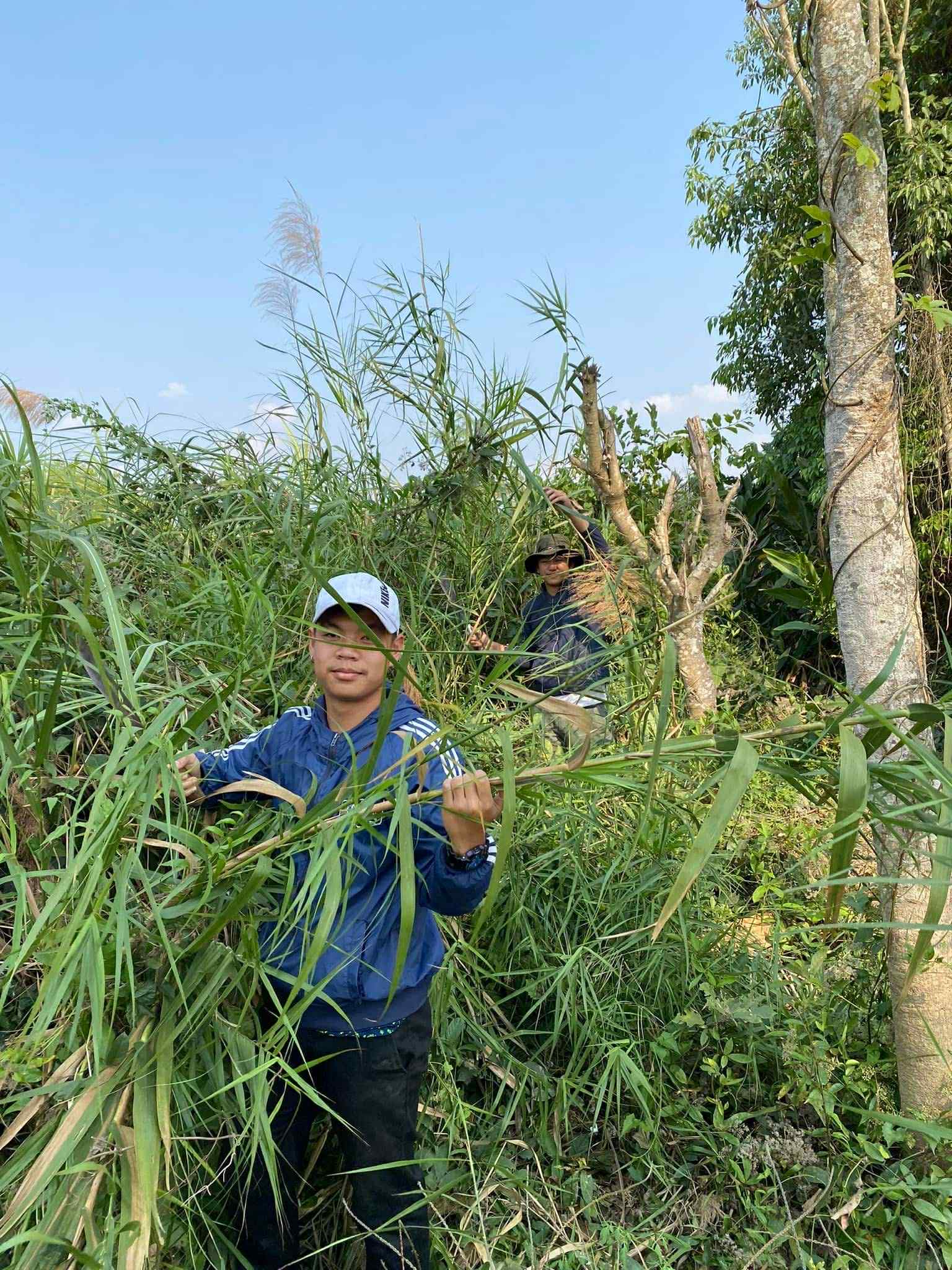 Gathering broom grass from the surrounding community, emphasizing resourcefulness and connection to our environment.