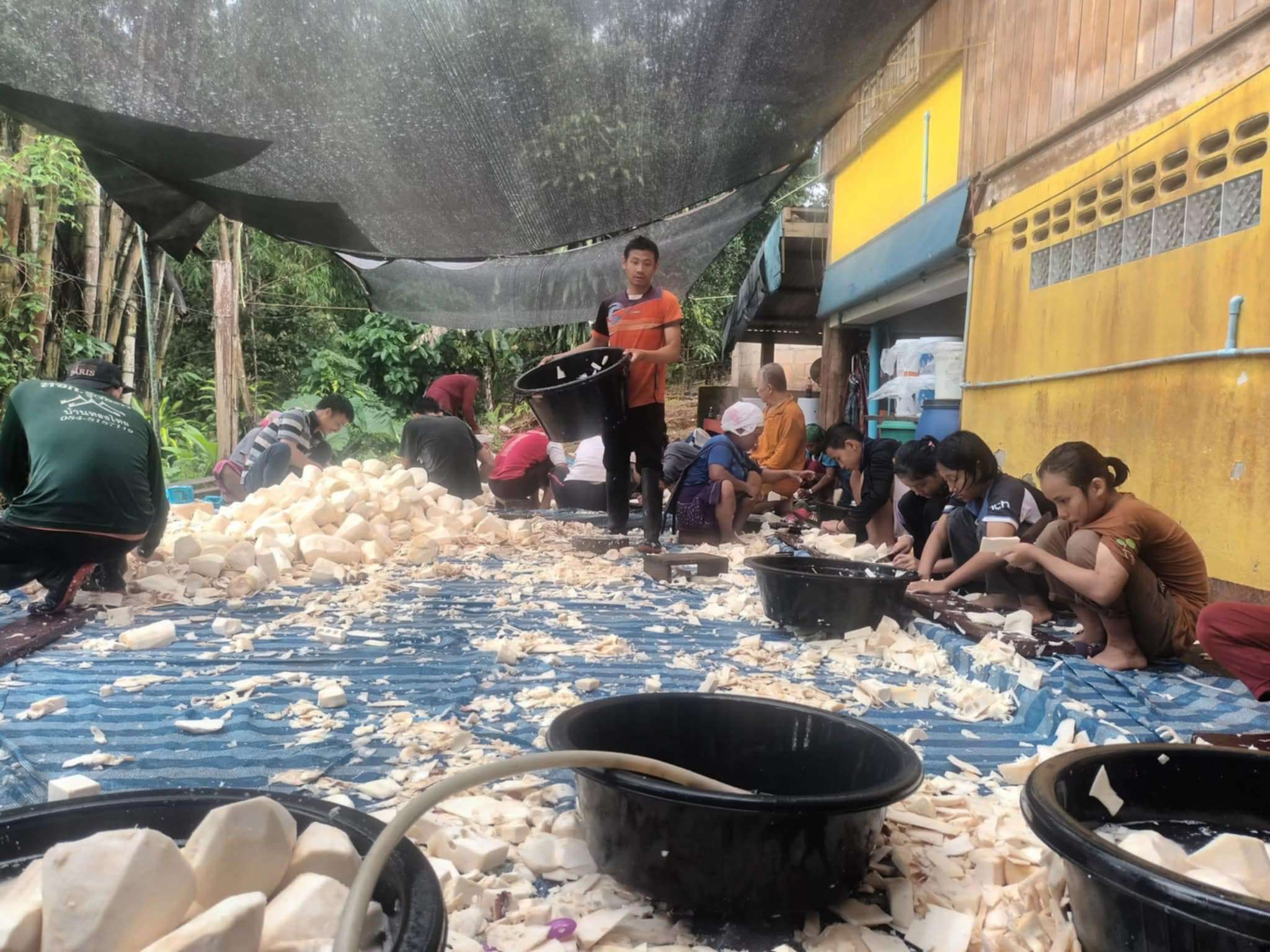 Children and parents wash the bamboo shoots before cutting them.