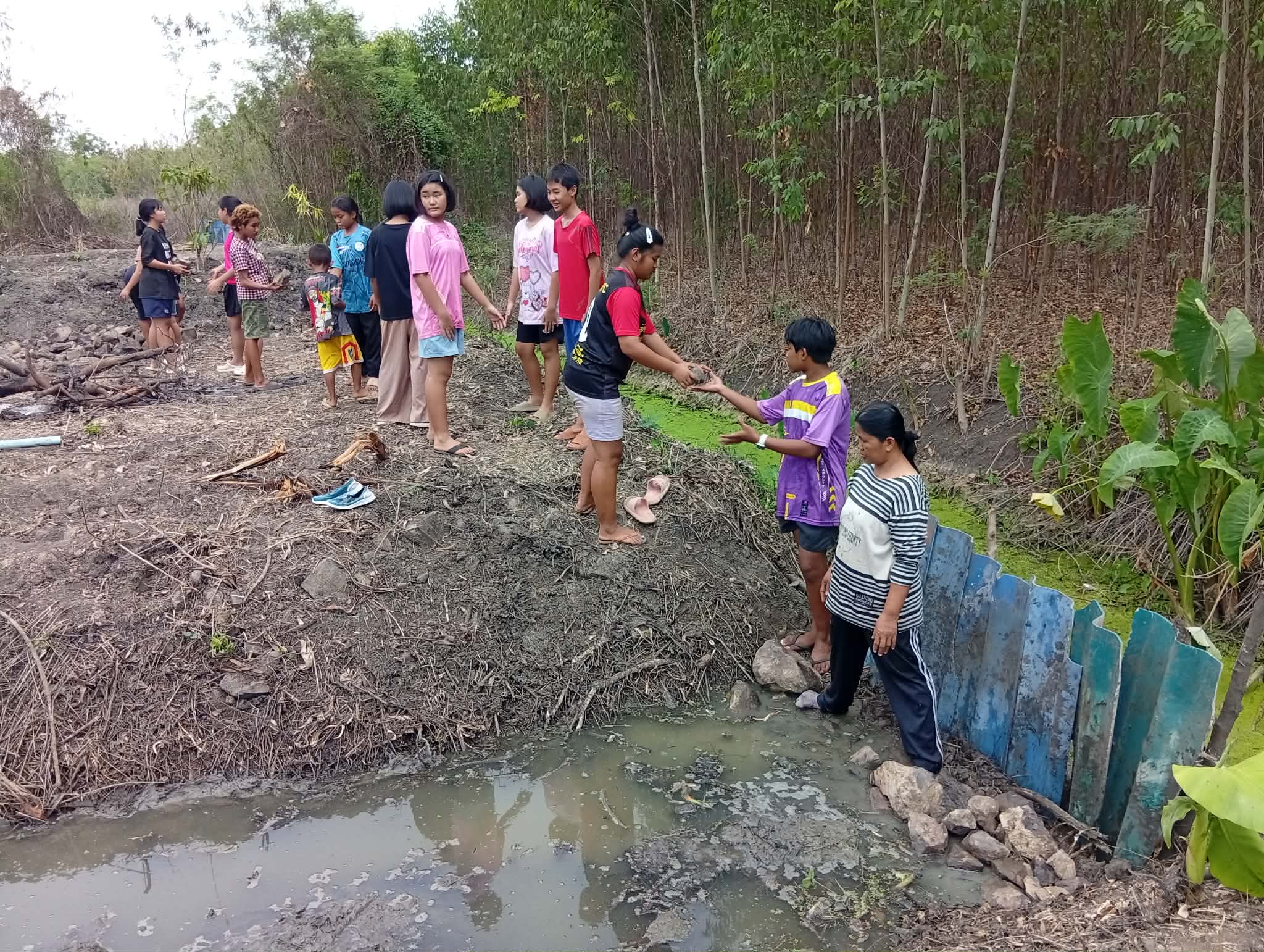Let’s help build an overflow dam.
