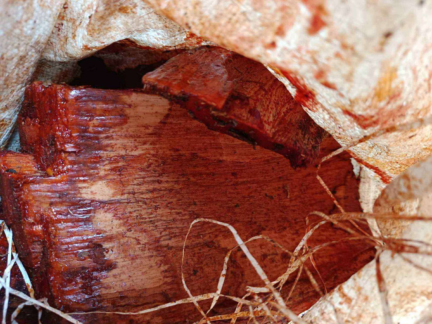 Nature's Thread: Woven Fabrics with Authentic Natural Lines