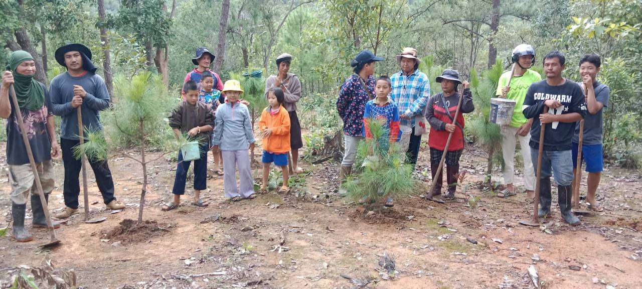 Children and parents plant trees together in the headwaters area.