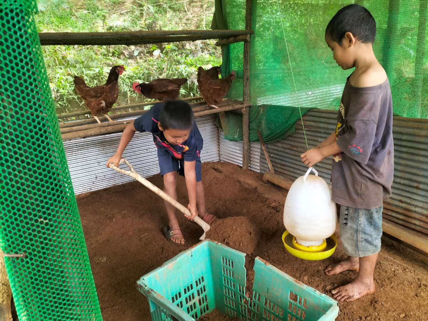 The children prepared a place for the chickens to lay eggs.
