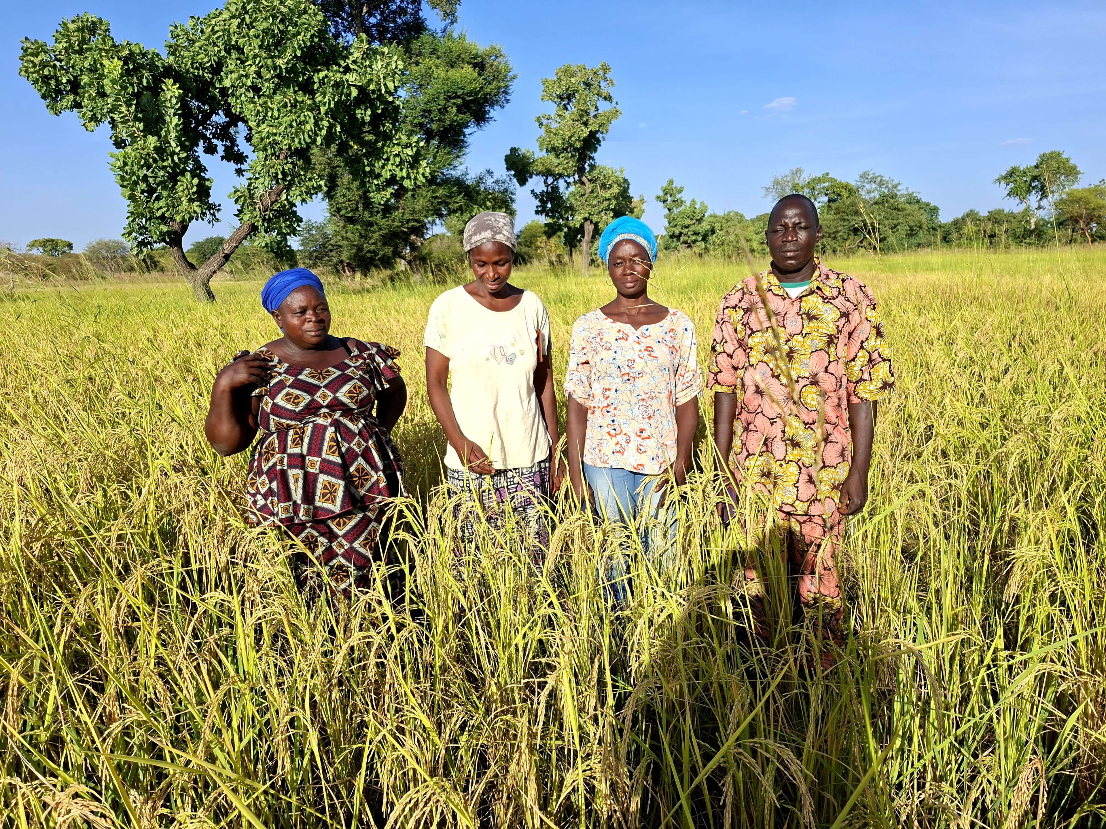 Rice field visit (by the pastor and a technical agent)