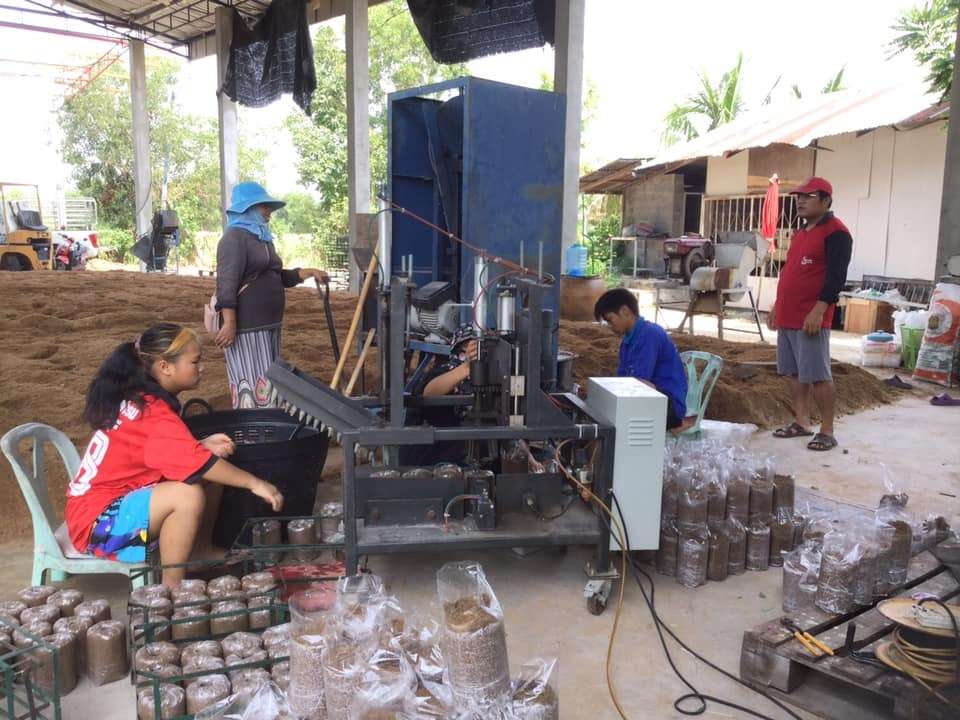 Mushroom briquetting