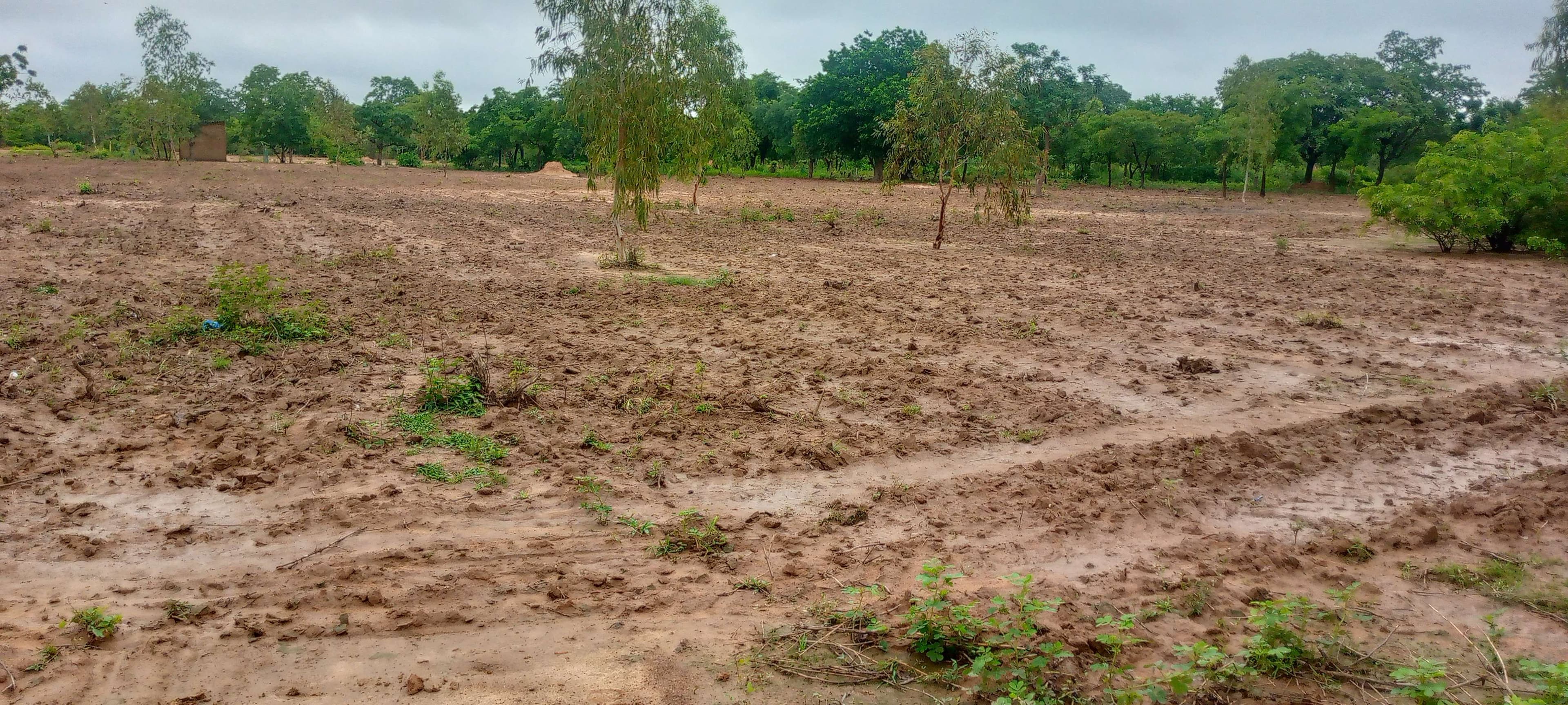 Agricultural land