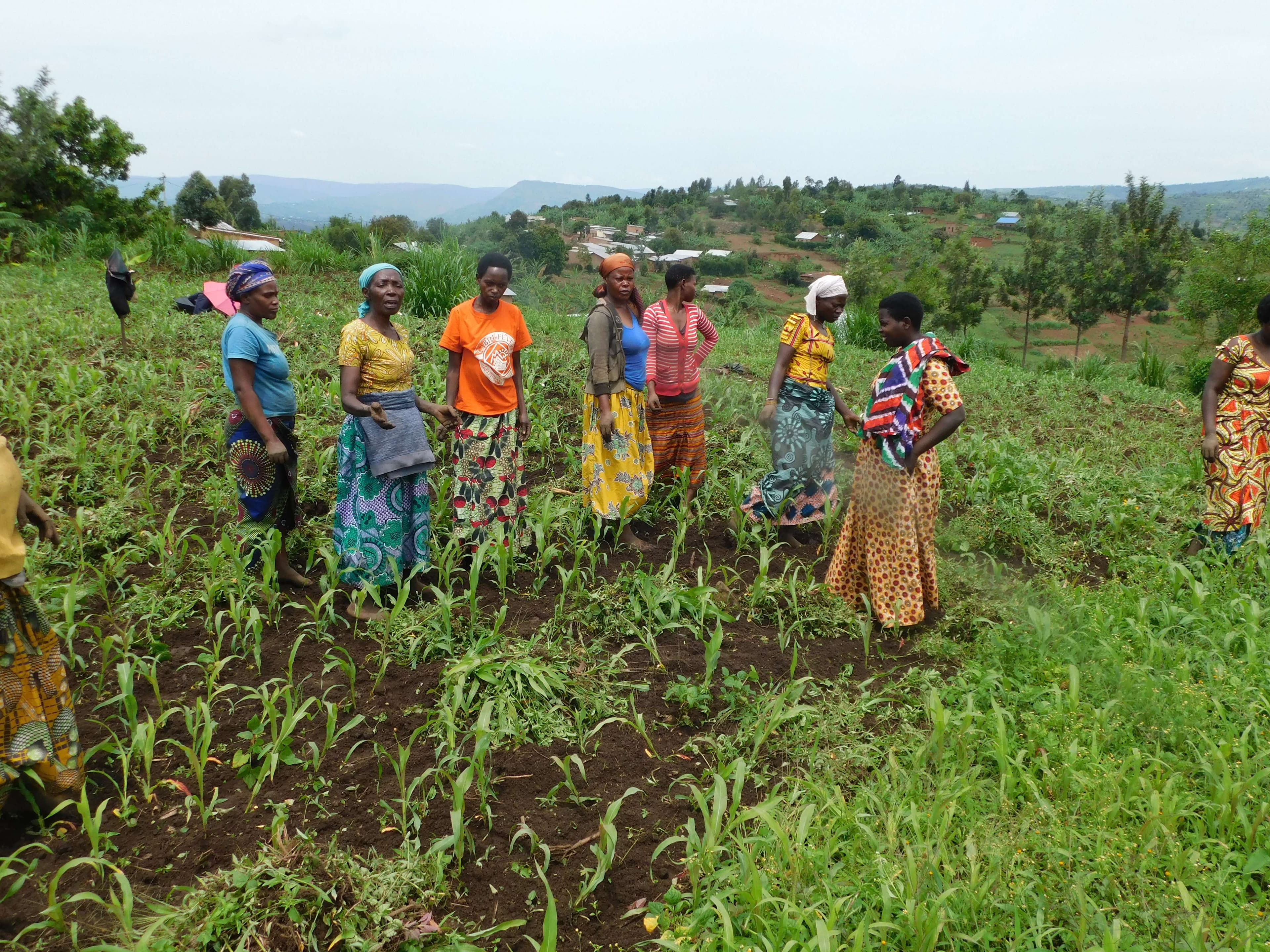 Parents grind their own sorghum