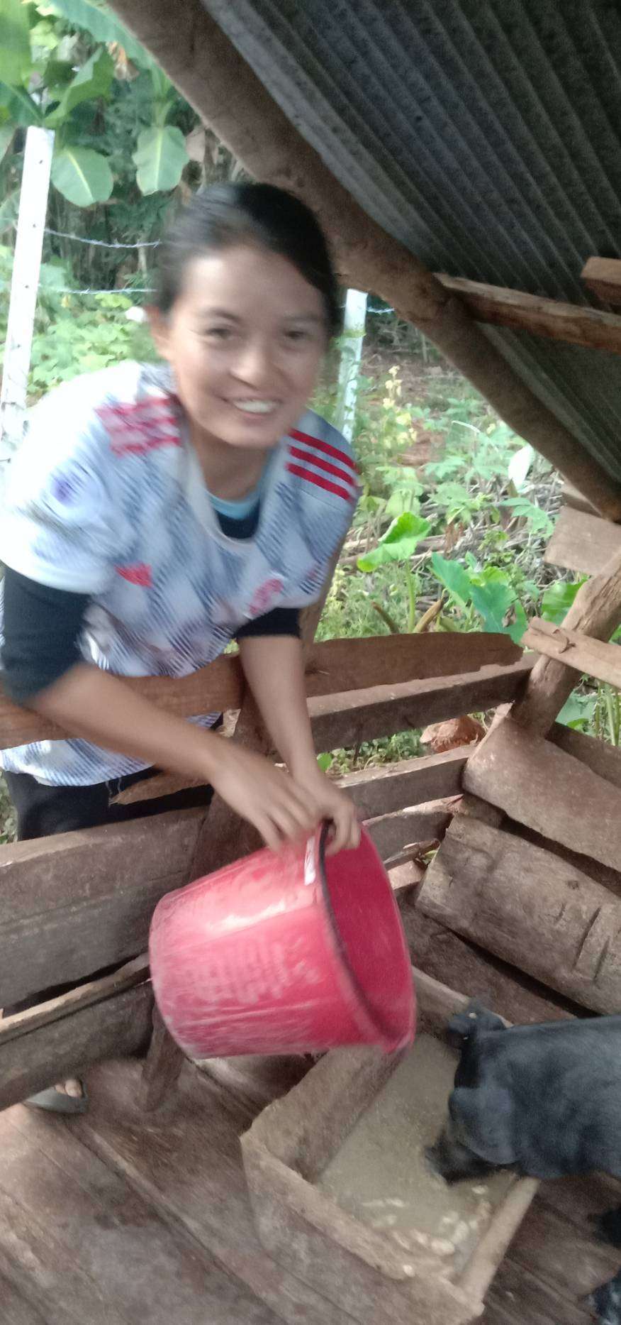 Pig Farming for Family Income and Stability