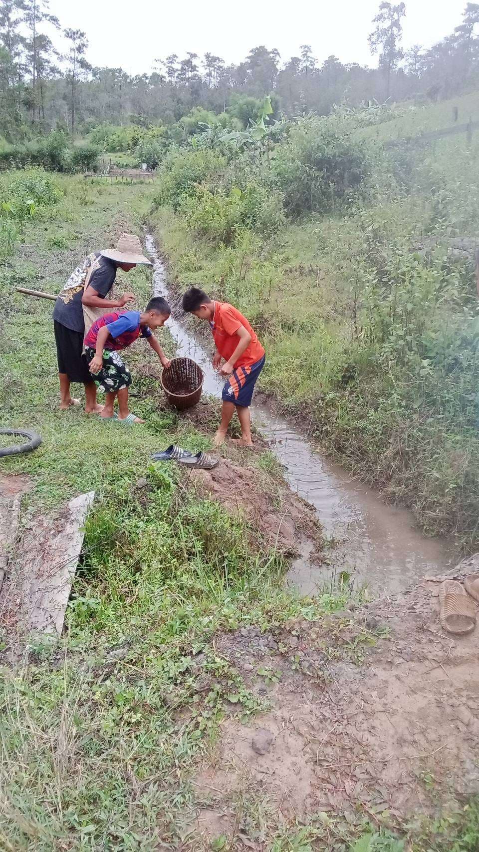 The children went fishing.