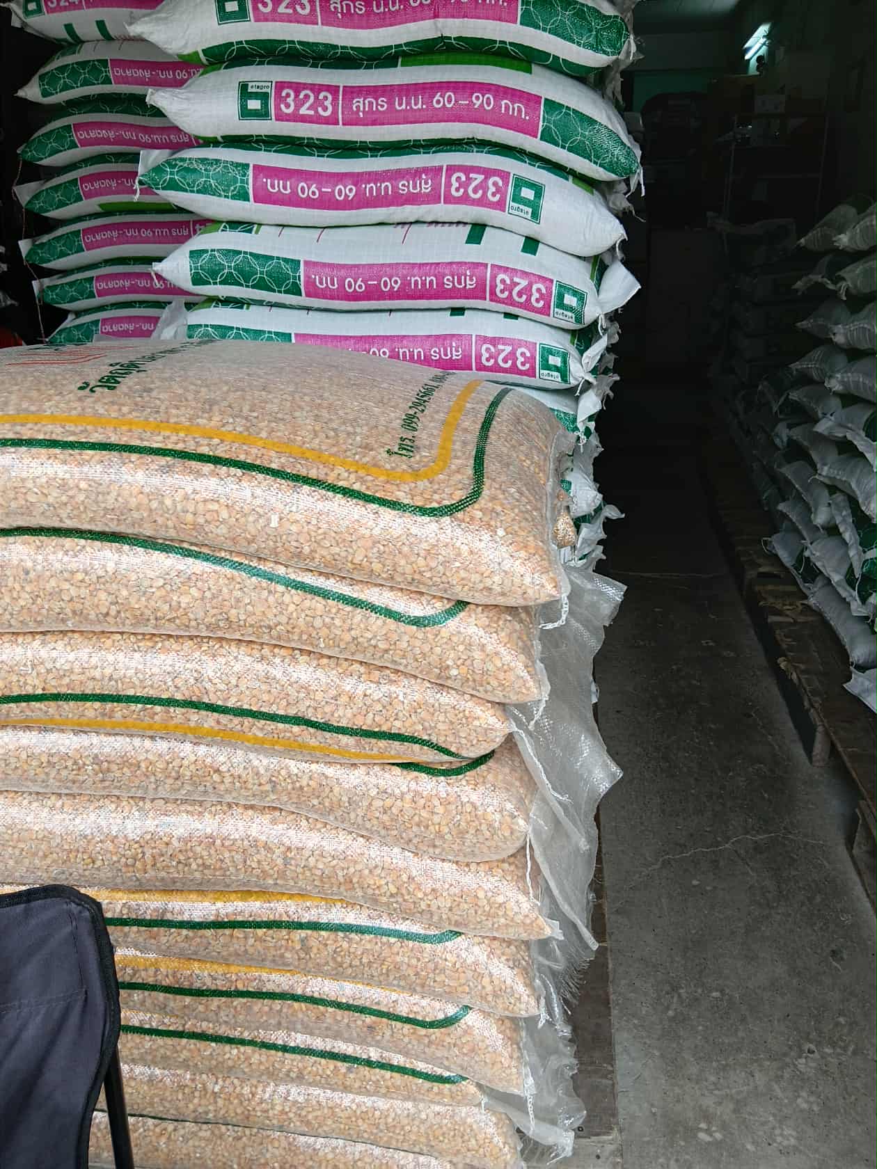 Food and corn mix for the piglets.