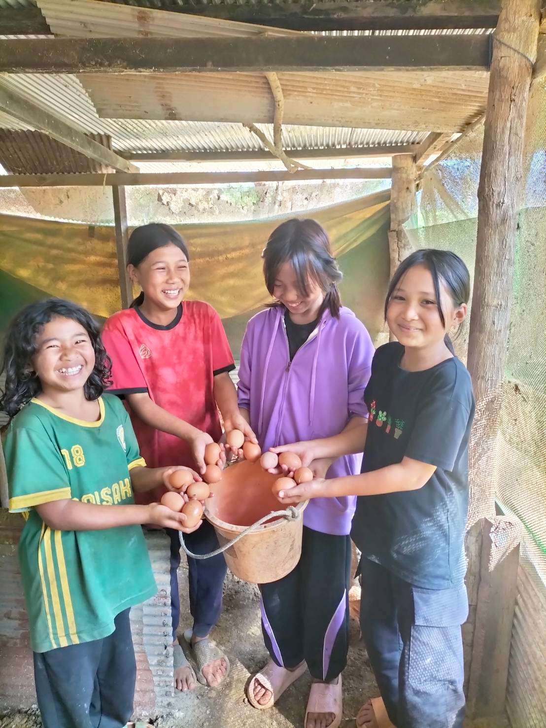 Children love raising chickens for eggs.