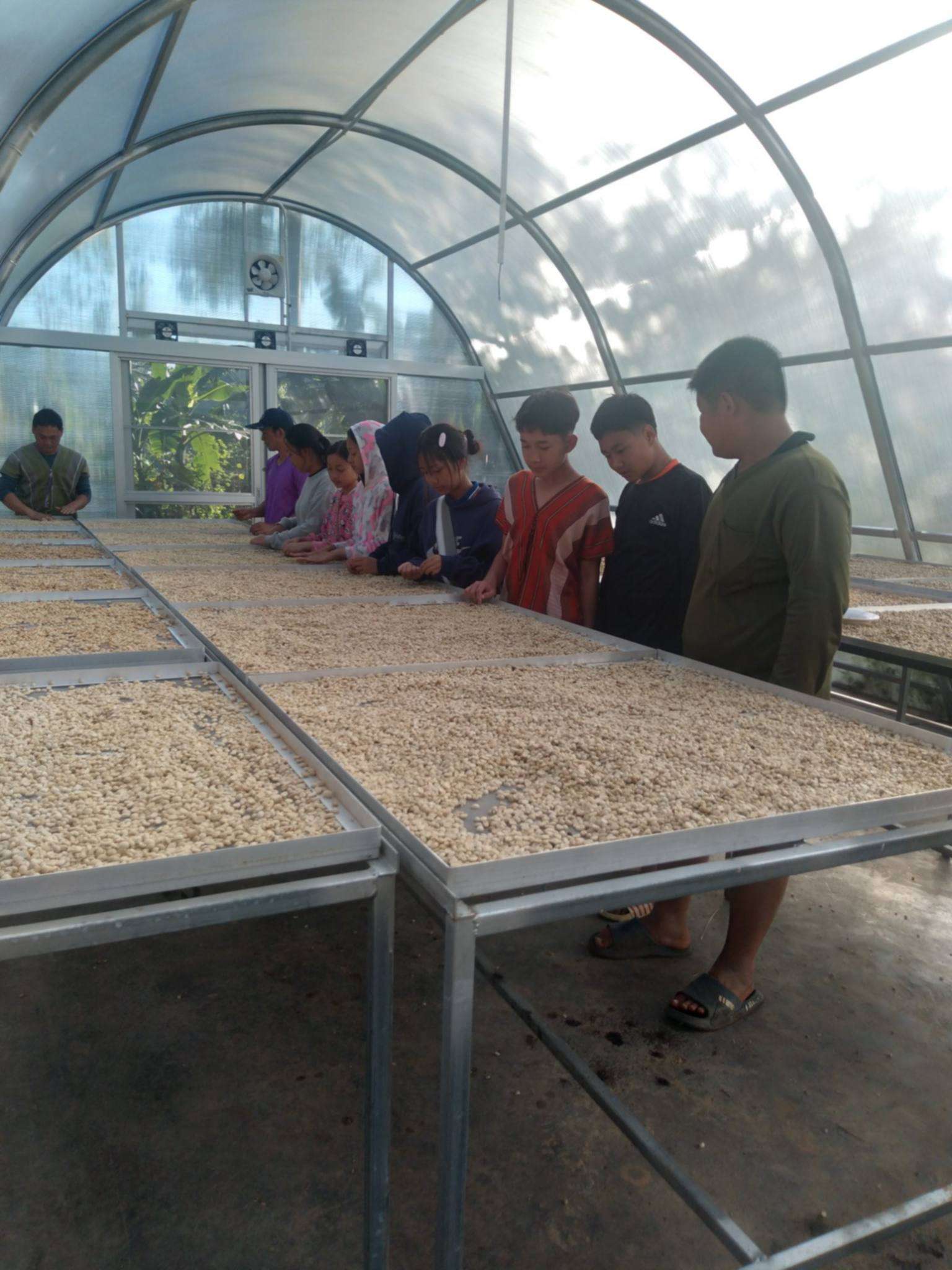 Learning from the best. Our youth and mentors spent the day at a professional drying facility, gathering the insights we need to build our own high-quality standards back home.