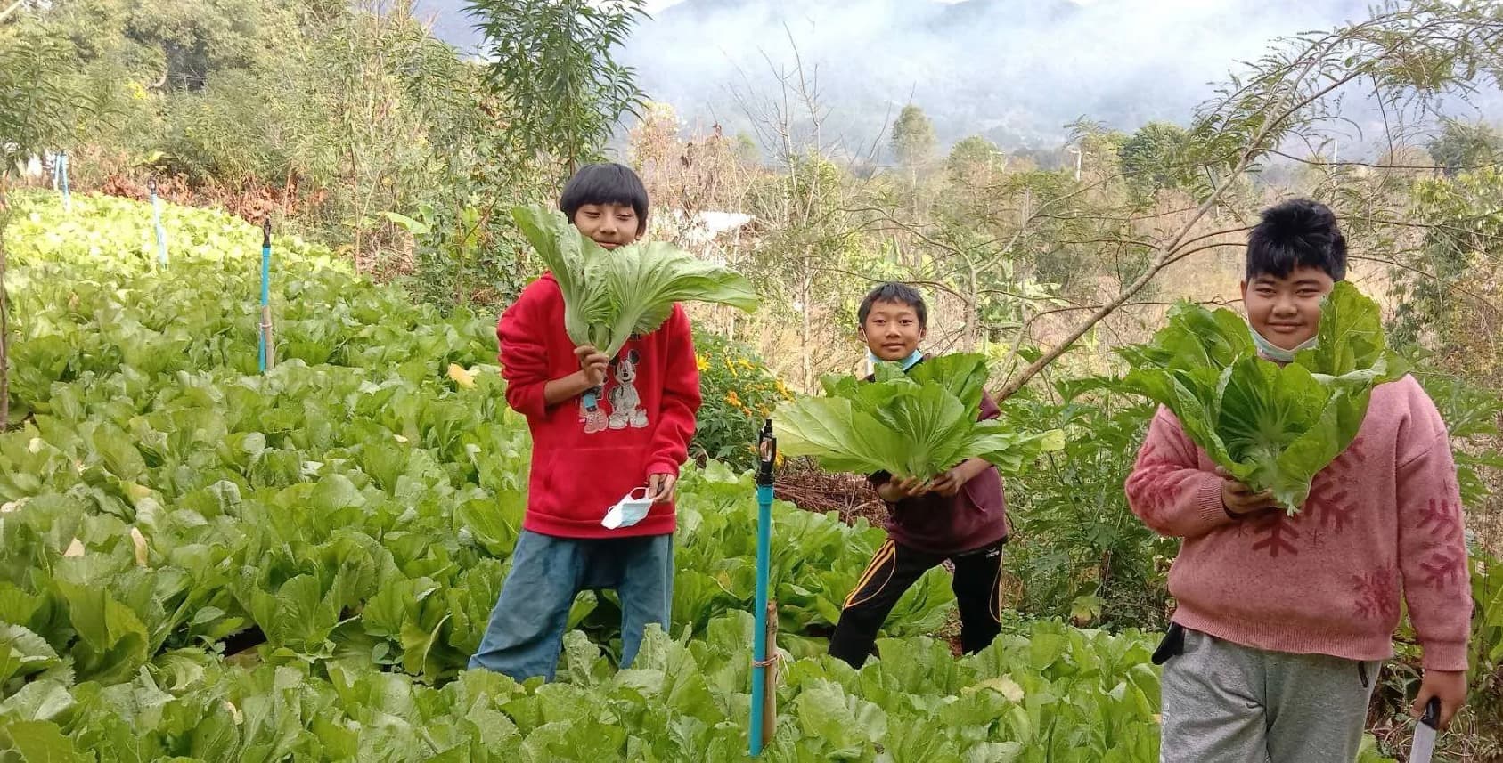 Teaching families to produce agricultural products for themselves and to sell locally.